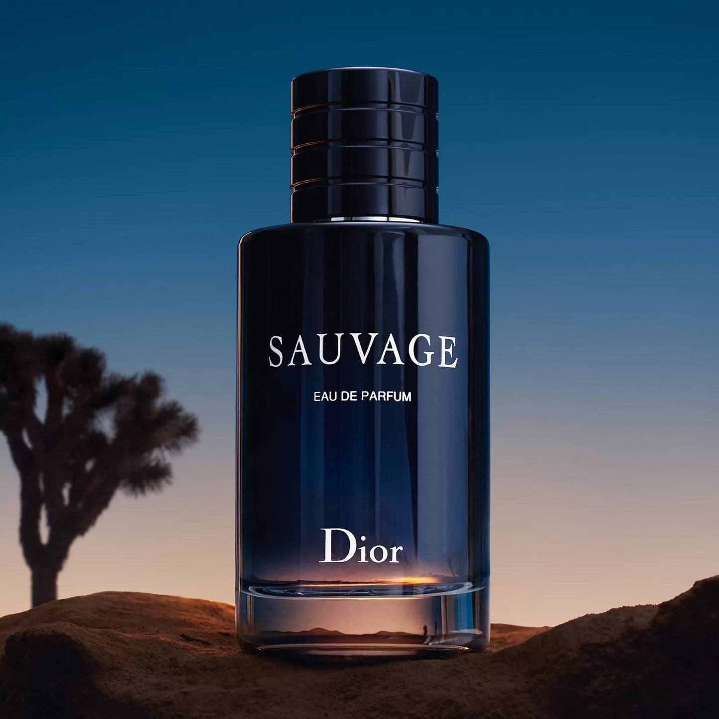 CHRISTIAN DIOR SAUVAGE MENS EAU DE PARFUM
