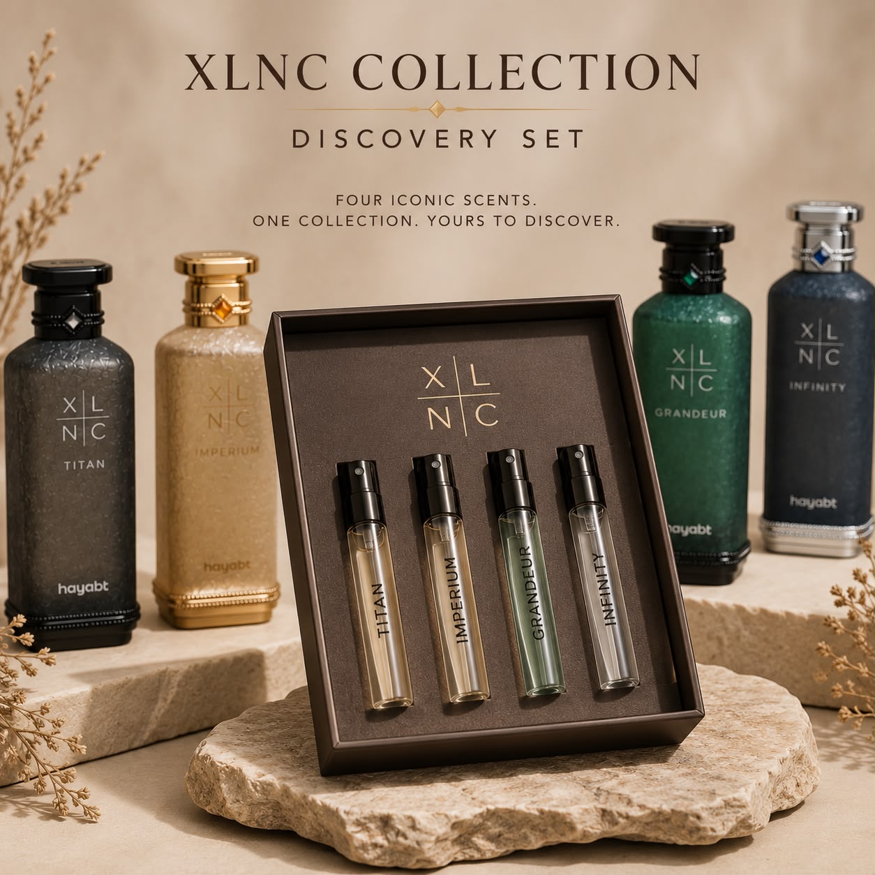 XLNC Collection Discovery Set